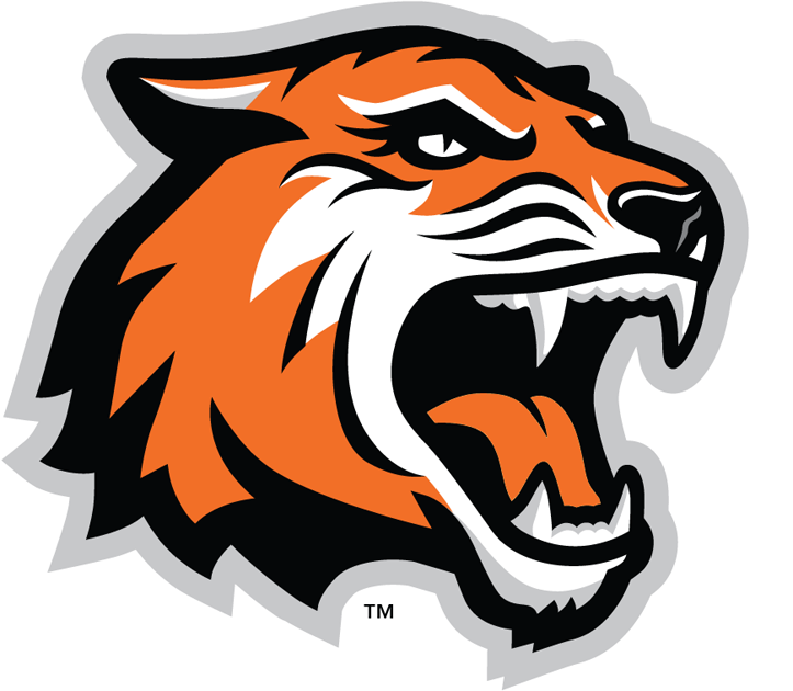 RIT Tigers 2004-Pres Alternate Logo v2 DIY iron on transfer (heat transfer)